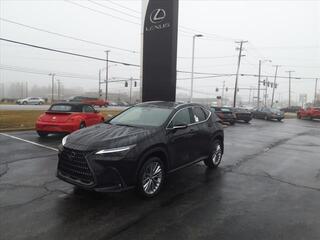 2023 Lexus NX 350 for sale in Toledo OH