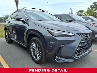 2024 Lexus NX 350 for sale in Myrtle Beach SC