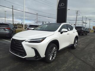 2024 Lexus NX 350 for sale in Toledo OH