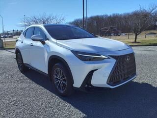 2025 Lexus NX 350 for sale in Nashville TN