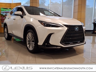 2025 Lexus NX 350 for sale in Larchmont NY