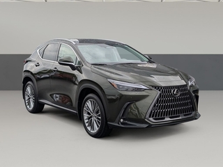 2026 Lexus NX 350 for sale in Chattanooga TN