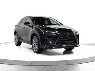 2026 Lexus NX 350 for sale in Schaumburg IL