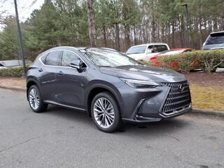2026 Lexus NX 350 for sale in Durham NC
