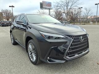 2026 Lexus NX 350 for sale in Nashville TN