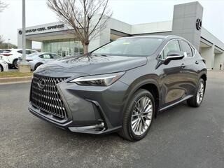 2026 Lexus NX 350 for sale in Brentwood TN