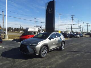 2023 Lexus NX 350 for sale in Toledo OH