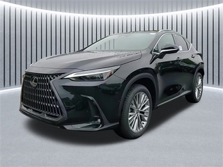 2025 Lexus NX 350 for sale in Schaumburg IL