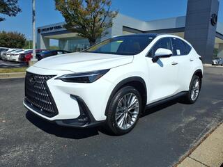 2026 Lexus NX 350 for sale in Brentwood TN
