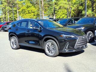 2026 Lexus NX 350 for sale in Durham NC