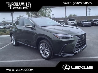 2025 Lexus NX 350 for sale in Temecula CA