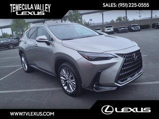 2025 Lexus NX 350 for sale in Temecula CA