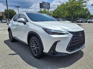 2025 Lexus NX 350 for sale in Nashville TN