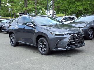 2025 Lexus NX 350 for sale in Durham NC