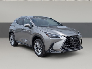 2026 Lexus NX 350 for sale in Chattanooga TN