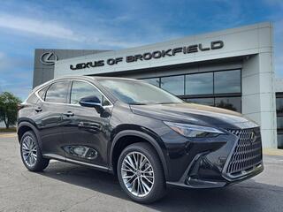 2026 Lexus NX 350 for sale in Brookfield WI