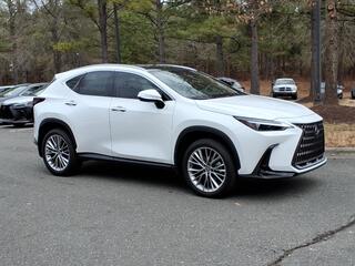 2026 Lexus NX 350 for sale in Durham NC