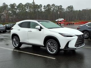 2026 Lexus NX 350 for sale in Durham NC