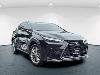2023 Lexus NX 350 for sale in Freehold NJ