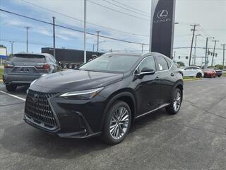 2024 Lexus NX 350 for sale in Toledo OH