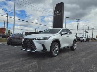 2024 Lexus NX 350 for sale in Toledo OH