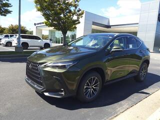 2025 Lexus NX 350 for sale in Brentwood TN