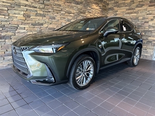 2025 Lexus NX 350 for sale in Allentown PA