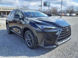 2025 Lexus NX 350 for sale in Nashville TN