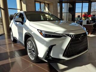 2026 Lexus NX 350 for sale in Nashville TN