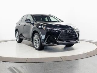 2026 Lexus NX 350 for sale in Schaumburg IL