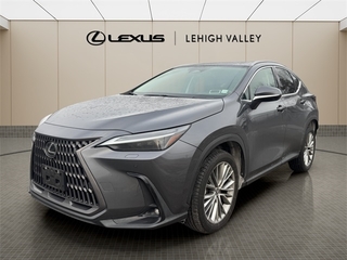 2024 Lexus NX 350 for sale in Allentown PA