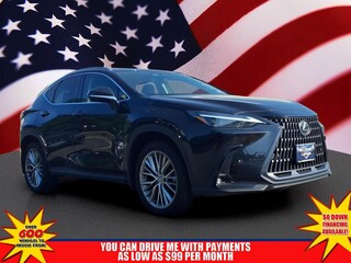 2024 Lexus NX 350 for sale in Little Falls NJ