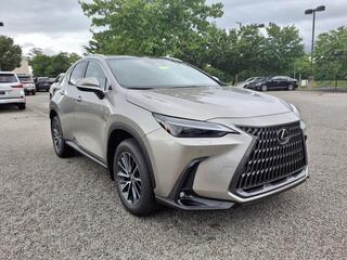 2025 Lexus NX 350 for sale in Nashville TN