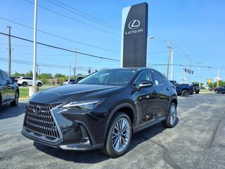 2025 Lexus NX 350