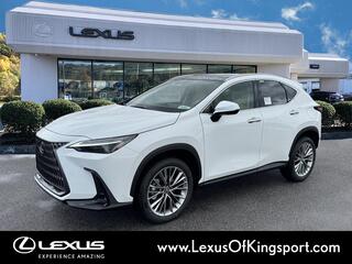 2026 Lexus NX 350 for sale in Kingsport TN