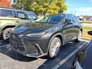 2024 Lexus NX 350 for sale in Toledo OH