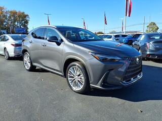 2024 Lexus NX 350 for sale in Fairfax VA