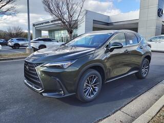 2025 Lexus NX 350 for sale in Brentwood TN