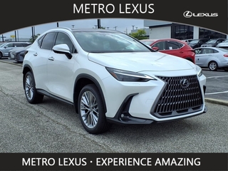 2025 Lexus NX 350 for sale in Cleveland OH