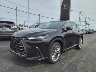 2024 Lexus NX 350 for sale in Toledo OH