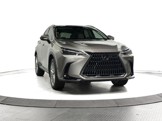 2025 Lexus NX 350 for sale in Schaumburg IL