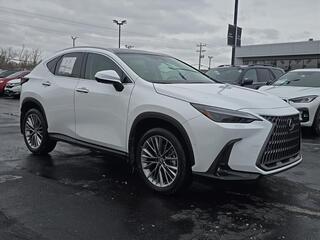 2026 Lexus NX 350 for sale in Brookfield WI