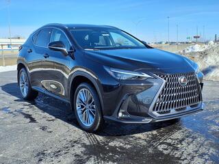 2026 Lexus NX 350 for sale in Cleveland OH