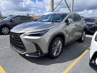 2024 Lexus NX 350 for sale in Allentown PA