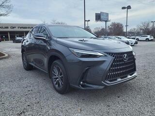 2025 Lexus NX 350 for sale in Brentwood TN