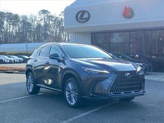 2025 Lexus NX 350 for sale in Virginia Beach VA