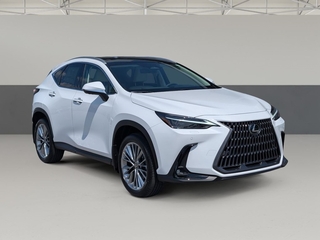 2026 Lexus NX 350 for sale in Chattanooga TN