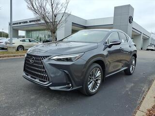 2026 Lexus NX 350 for sale in Brentwood TN