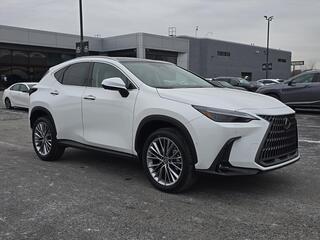 2026 Lexus NX 350 for sale in Brookfield WI