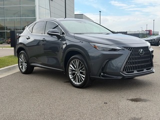 2024 Lexus NX 350 for sale in Elgin IL